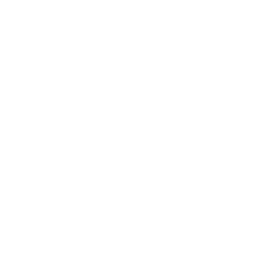 moitiemoitie